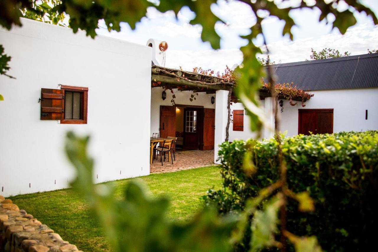 Vineyard Cottage At Bosman Wines Веллінґтон Екстер'єр фото